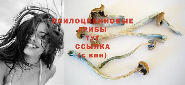 дживик Алексеевка