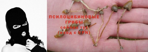 mdpv Болхов